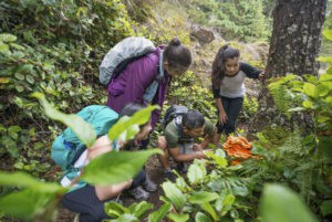 Backpackers-Examine-an-Edible- Education outside the classroom pic 4optimized