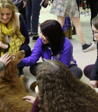 Students take time out to focus on wellbeing HS-IB-StressFair-Puppy-600