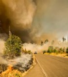 Integrated learning: a lesson on climate change woods and car 1200