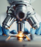 The major race: Figuring out what to study Close up of examining of test sample under the microscope in laboratory.