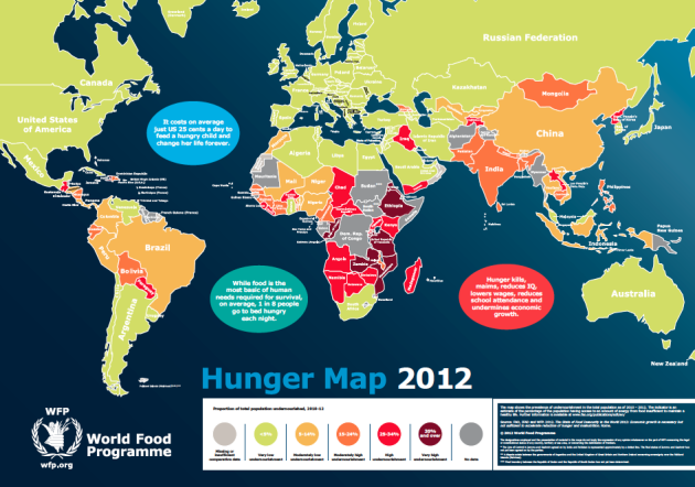 Visual Representation of Hunger from World Food Programme Source: http://cdn.wfp.org/hungermap/