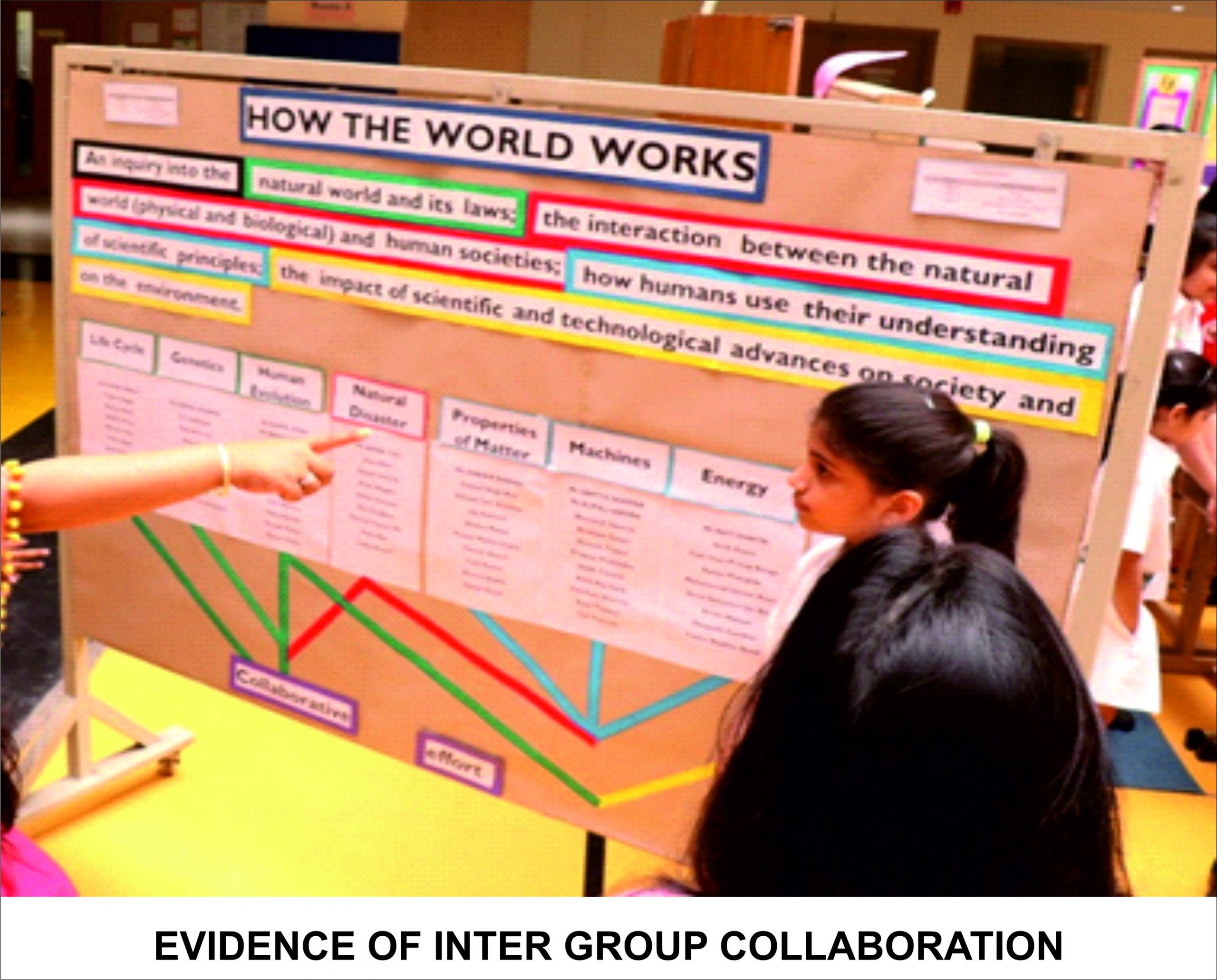The PYP Exhibition Can Collaboration Transcend Boundaries 