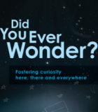 Nurturing children’s curiosity inside and outside the classroom