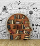 Wood Bookshelf in the Shape of Human Head and books near break wall, Knowledge Concept