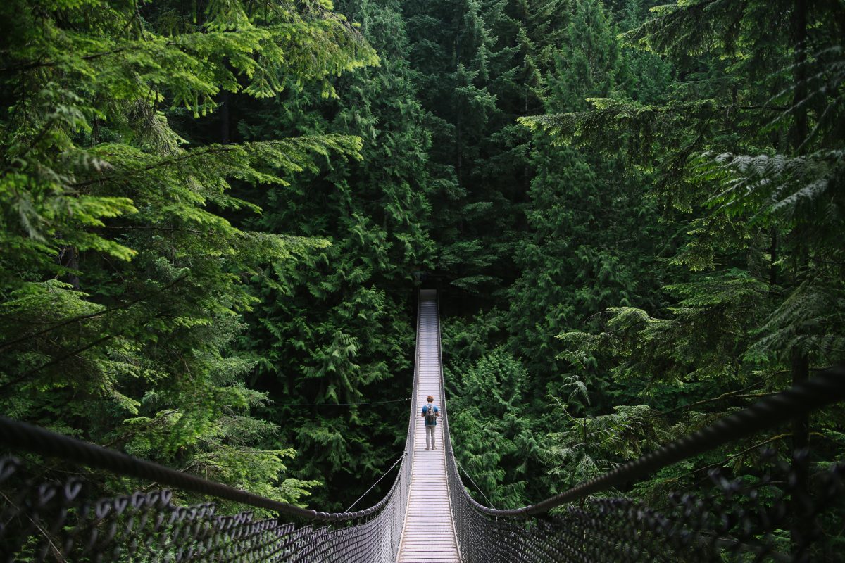 A young fit man exploring the wilderness; walking desolate suspension bridges, walking around a blue alpine lake, and driving on the open road.
