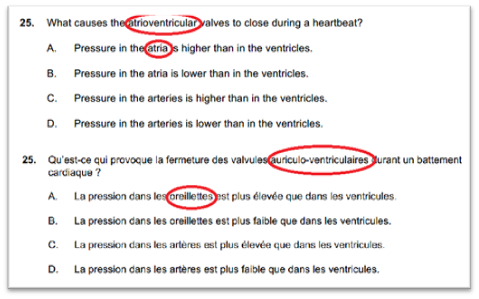 Exam question example