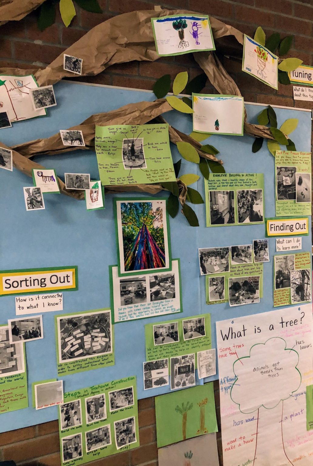 The Living Walls Project: Promoting student-centred learning, inquiry ...